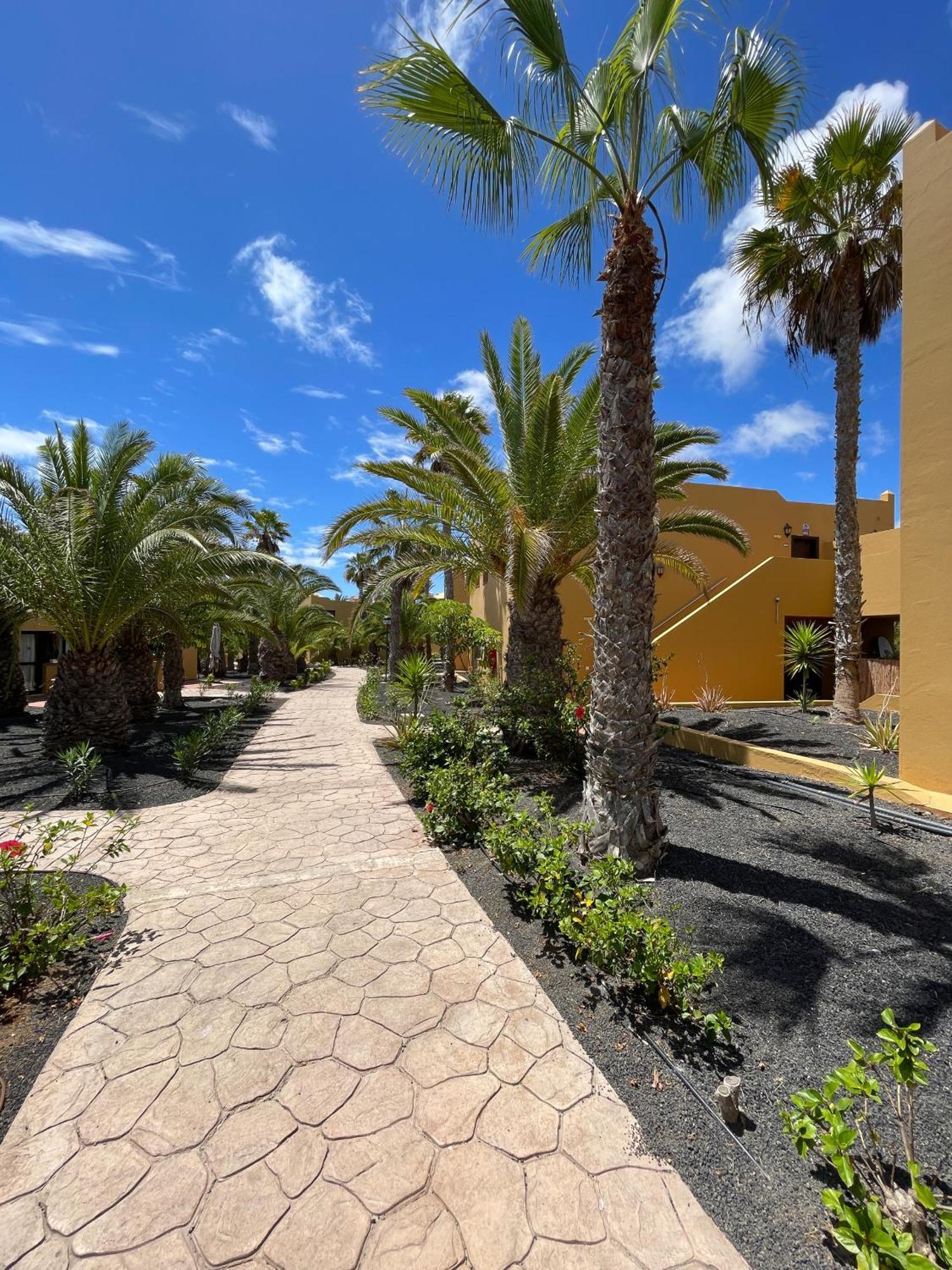 B-Rent Casa Angela Pool View Leilighet Corralejo Eksteriør bilde
