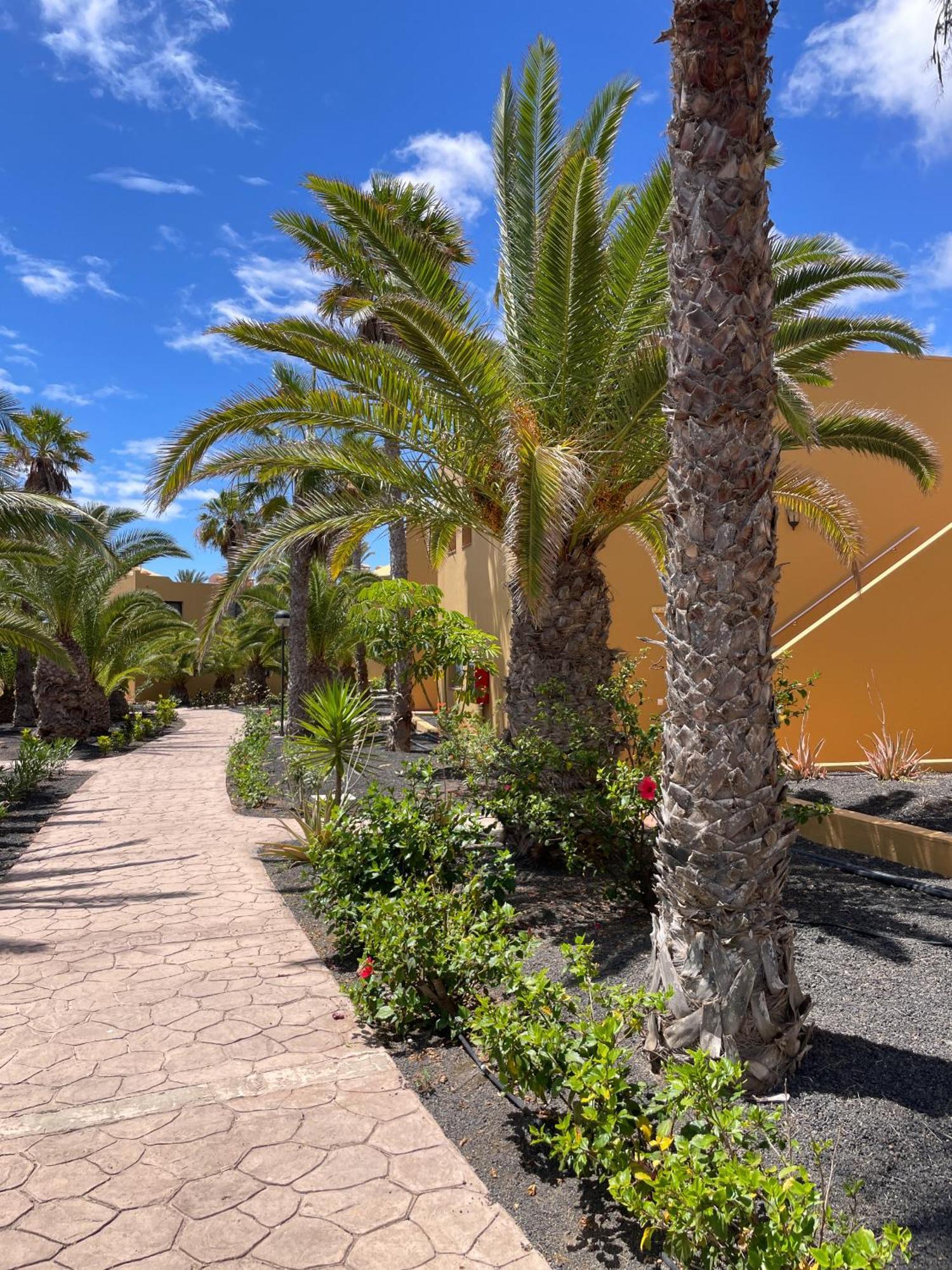 B-Rent Casa Angela Pool View Leilighet Corralejo Eksteriør bilde